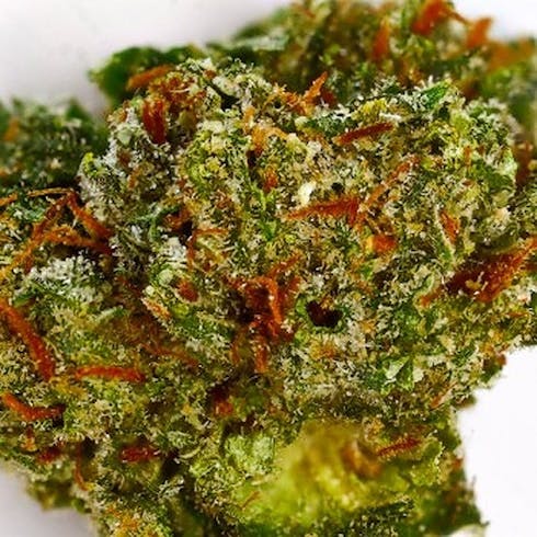 French Toast (50/50 Hybrid) (1/8 OZ Only)