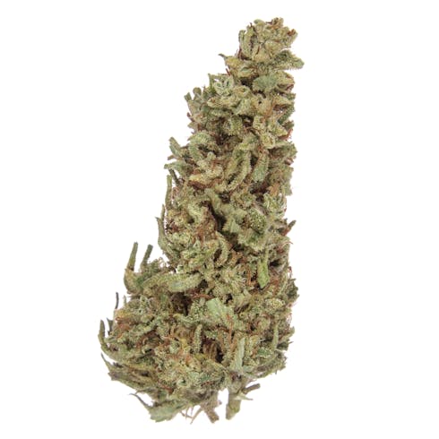 Blue Berry Kush