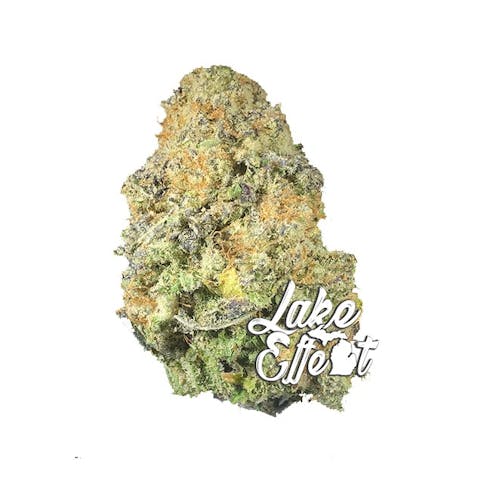 (GH) Gelato Punch - 13.23%THC