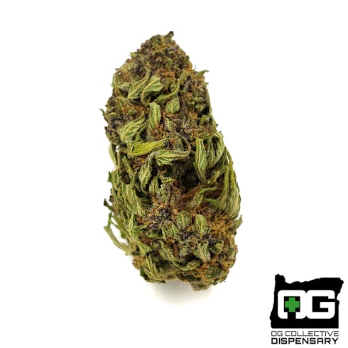 PURPLE HINDU KUSH from FROGLICKER FARMS