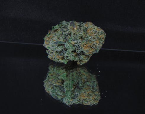 Blackberry Bubba Kush (Pre '98 Bubba Kush x Blackberry) *Indica Hybrid