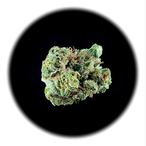 Super Silver Haze #10