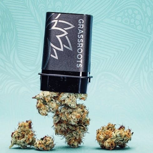 Grassroots - Chem de la Chem