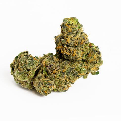 Gelato
