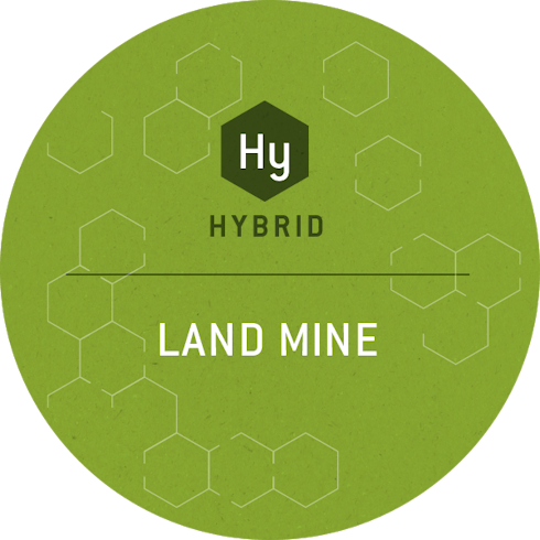 Land Mine