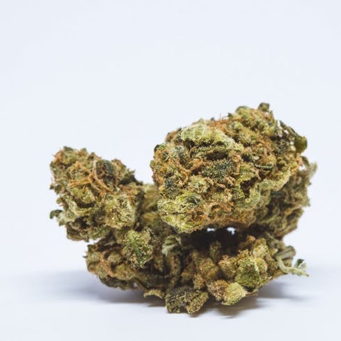 Tangie (8g Heavybag) by Grow West