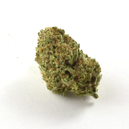 Gold Tier I Violets Delight