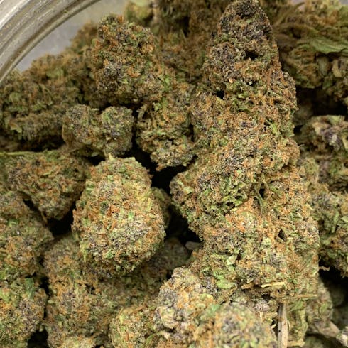 Purple Hindu Kush (BZS Resource)