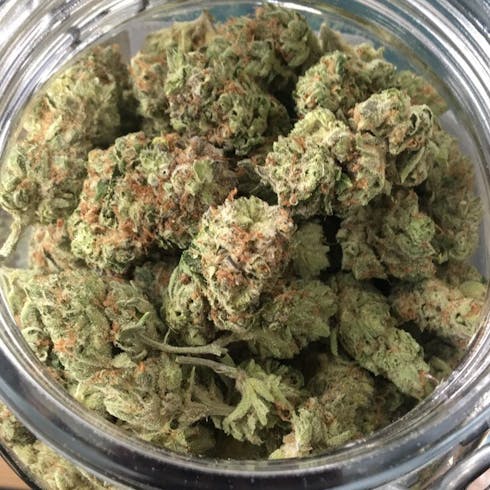 $160oz- Mt. Hood Magic (Sunlight Ridge)
