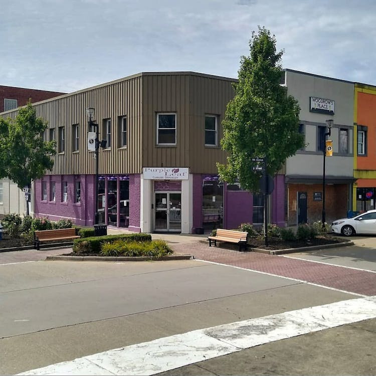 Purple Leaf LLC