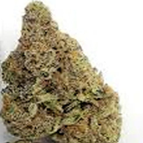 MED: Mimosa - Phantom Farms
