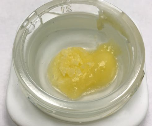 Banner Glue