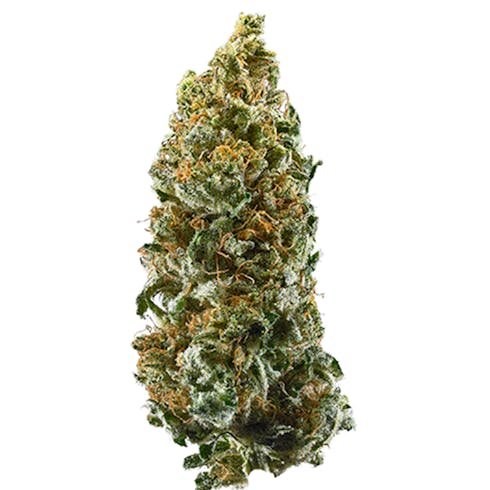 Cannatonic by Curio