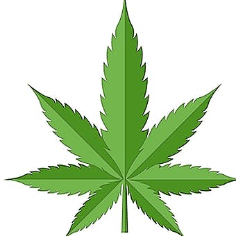 Neku Cannabis - Stoney Creek
