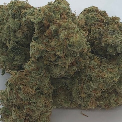 Terlton - AK-47 BULK