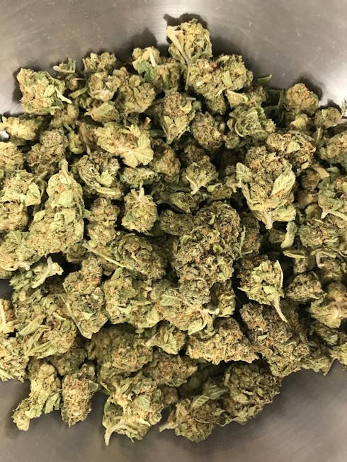 Gelato