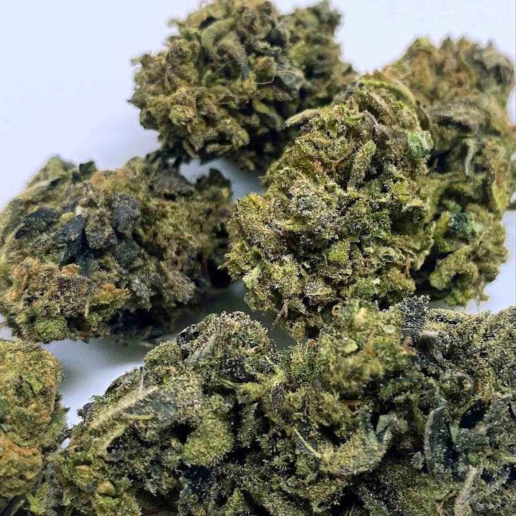 CBD Dispensary