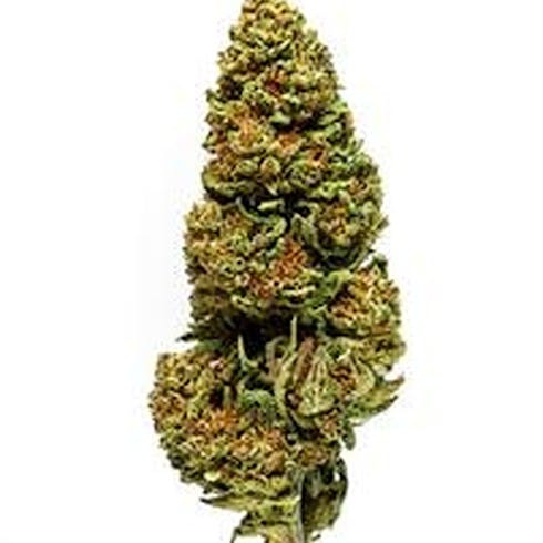 Suver Haze