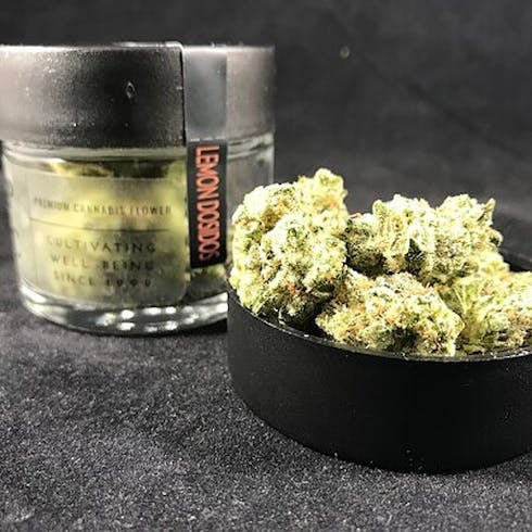 Lemon Dosidos Buds by HPRC