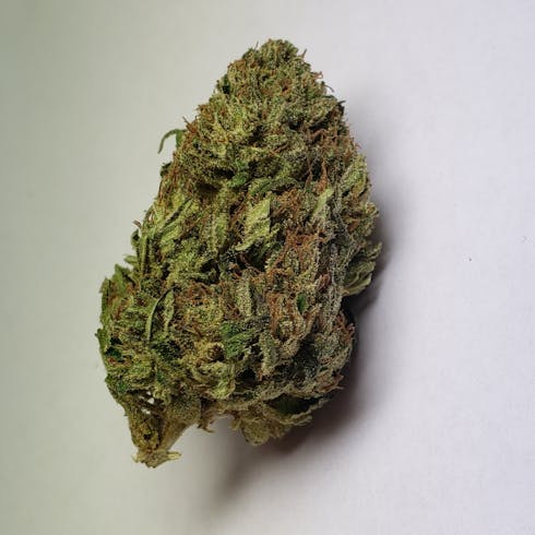 Cherry Otto - CBD Heavy