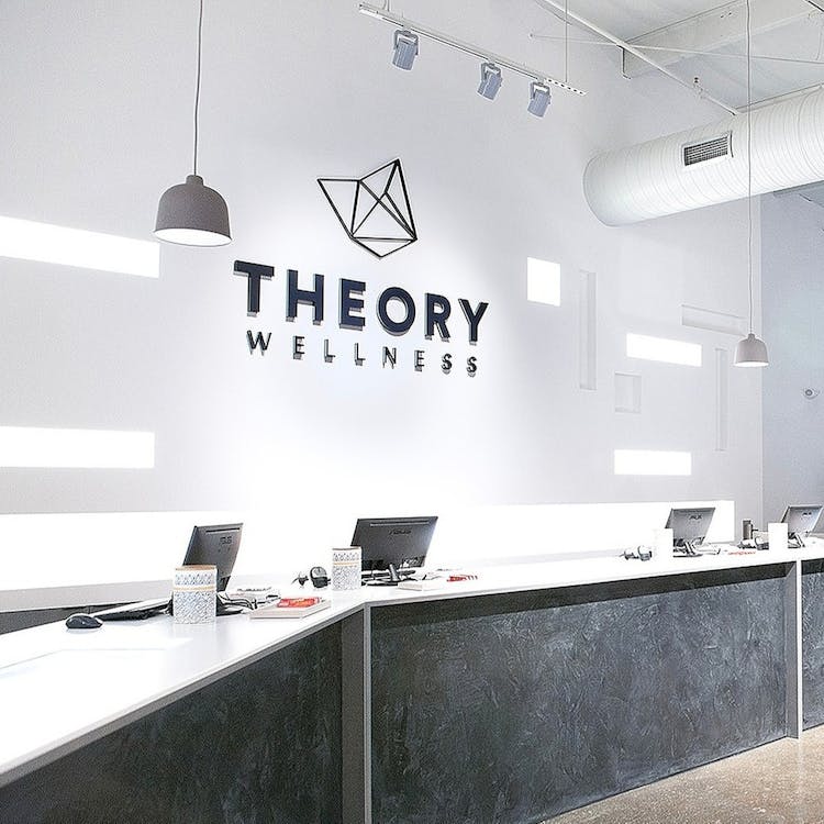 Theory Wellness - Chicopee Medical