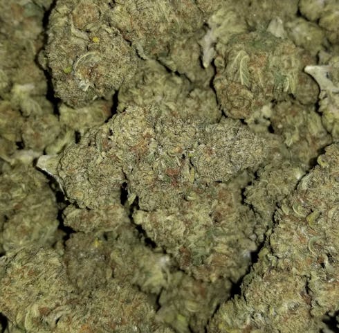 Mendo Breath