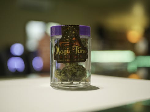 BTY OG by Magic Time Farms