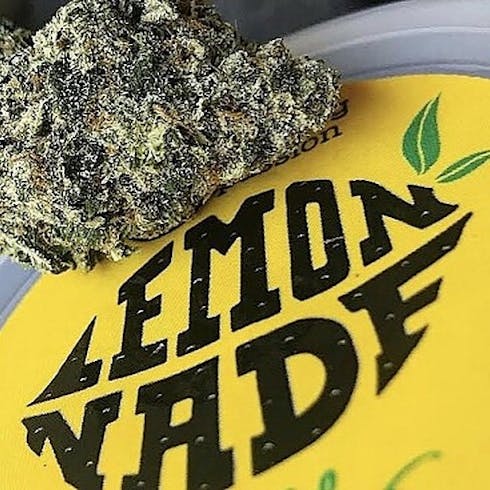 Lemonnade: Medellin