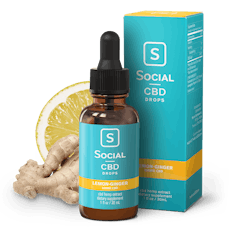 Lemon Ginger Tincture - 500mg CBD Isolate