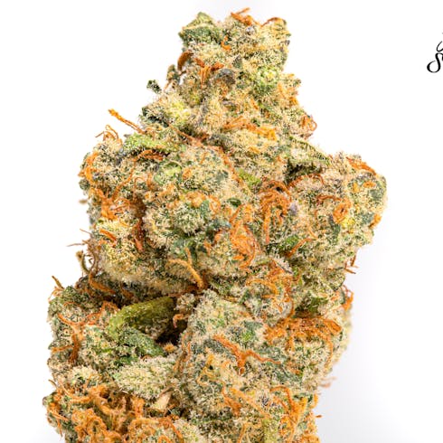 Orange Cream
