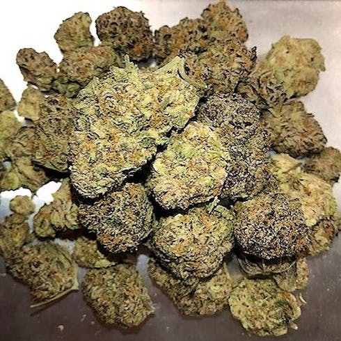 Platinum Cookies-Bulk Flower