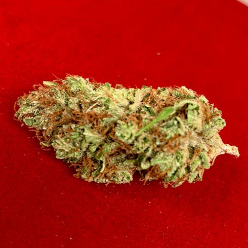 King's Stash