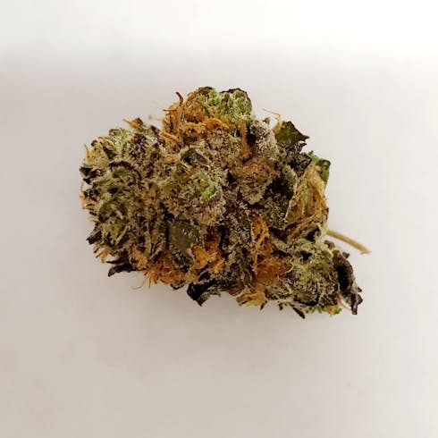 Chem Skunk (Popcorn)