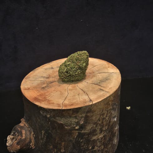 Sungrown: Headband by Sunna Ra Acres