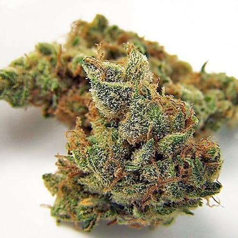 Z7 Remedy