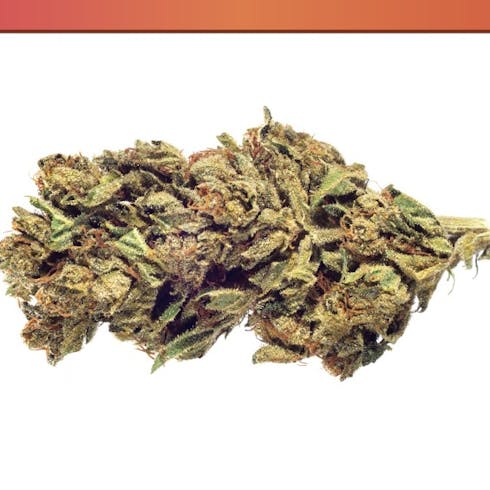 Legend OG