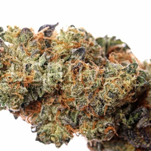 Triangle Mint (Indoor) Sativa Hybrid