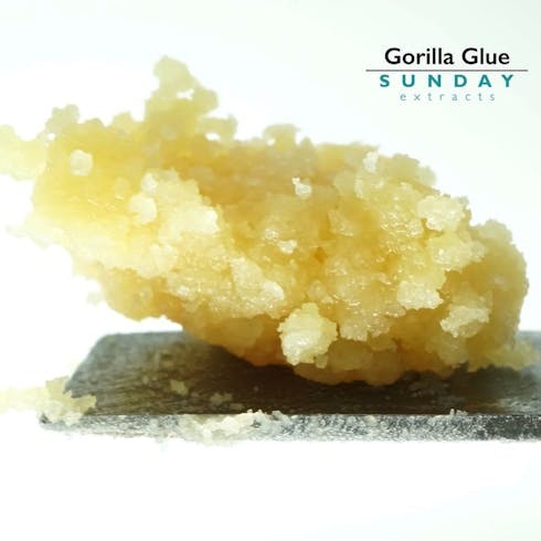 Sunday Extracts GG