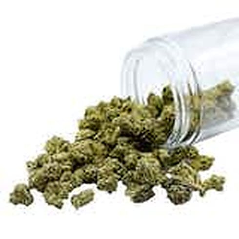 Value Popcorn Flower - Citrus Kush