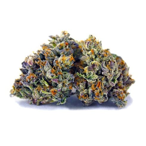 Mag Landrace | 24.64% | Verano