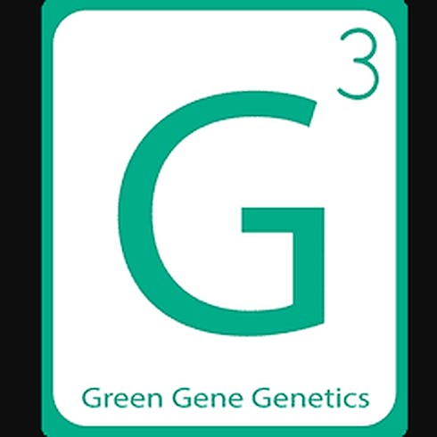 G3 - 4G