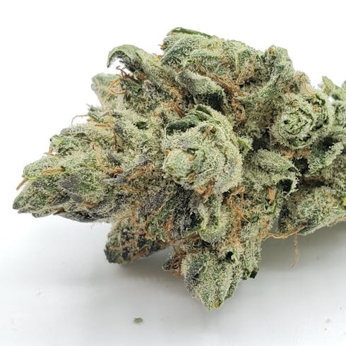 Cherry Pie | Grown by Cannabis Nation | REC