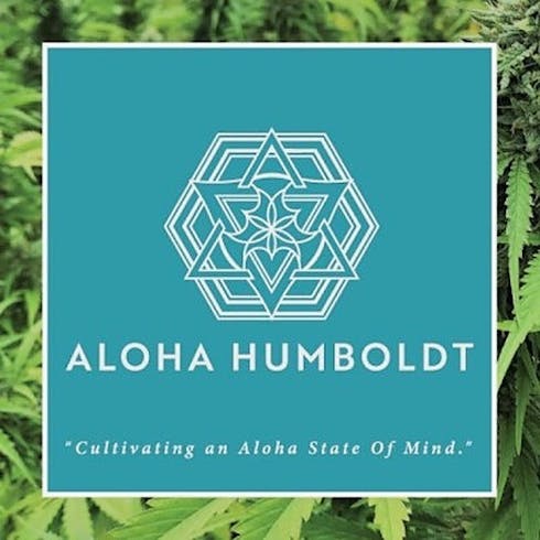 *FLASH SALE* Golden Lemons 8th by Aloha Humboldt