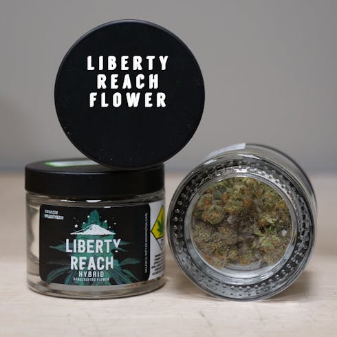 Orange Cookies by Liberty Reach