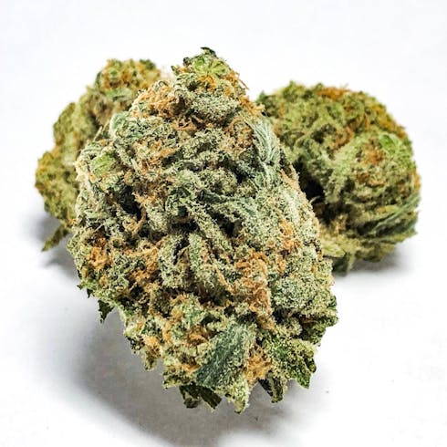 Orange Crush