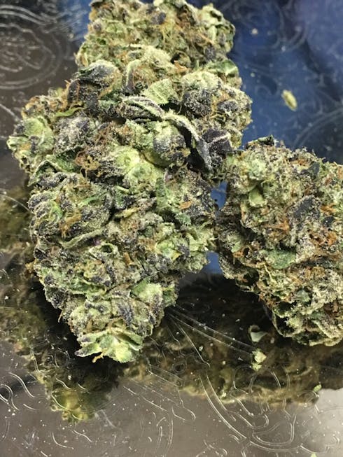 Gelato
