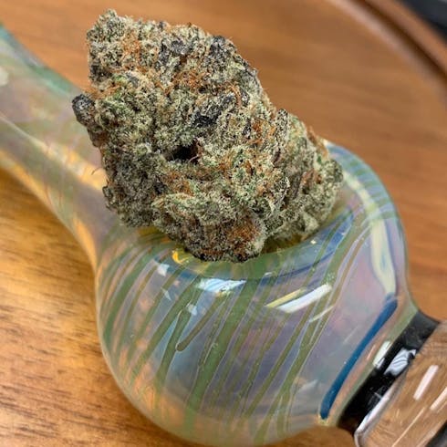 ZOOKIES