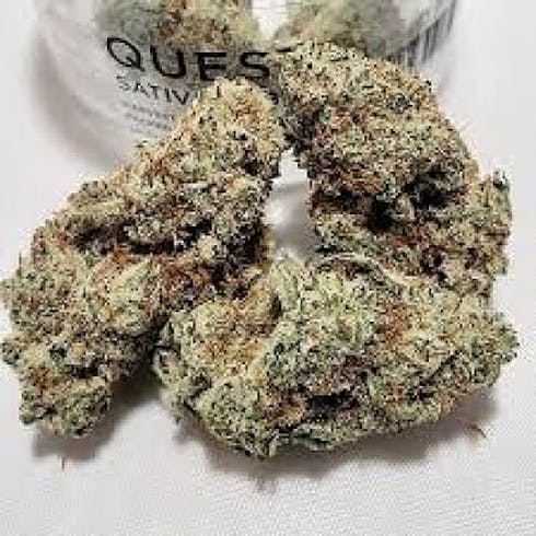 Quest by Source Cannabis