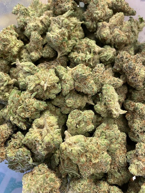 Bubba Kush 98 (Rec)