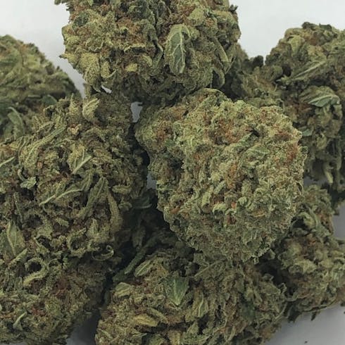 918 Cultivate - Strawberry Banana BULK